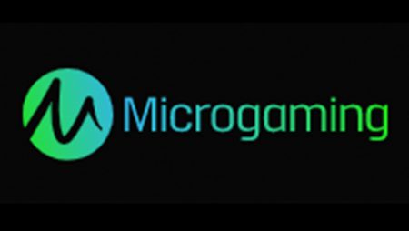 マイクロゲーミング社って?大人気オンラインゲームのソフトウェア会社を徹底調査