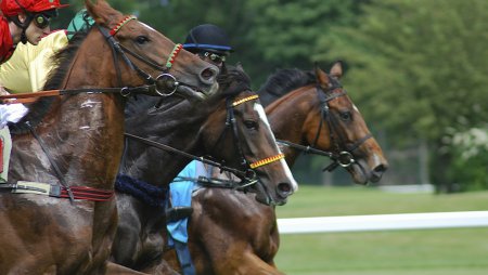 ウィリアムヒルで競馬はプレイできる?馬券の買い方からオッズまで詳しく解説