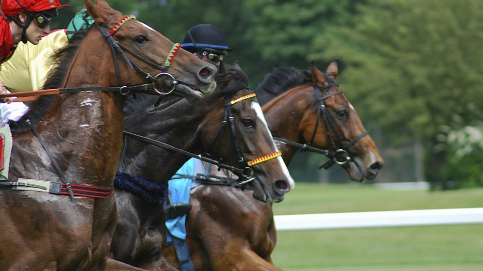 ウィリアムヒルで競馬はプレイできる?馬券の買い方からオッズまで詳しく解説